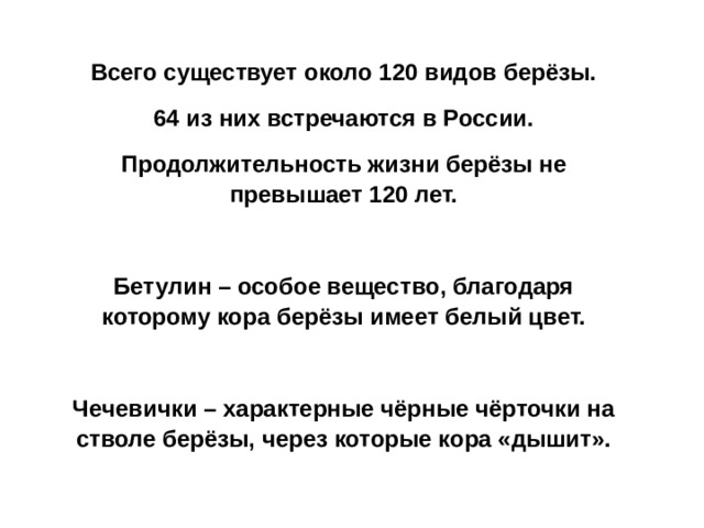 Всего существует около 120 видов берёзы. 64 из них встречаются в России. Продолжительность жизни берёзы не превышает 120 лет.  Бетулин – особое вещество, благодаря которому кора берёзы имеет белый цвет.  Чечевички – характерные чёрные чёрточки на стволе берёзы, через которые кора «дышит». 