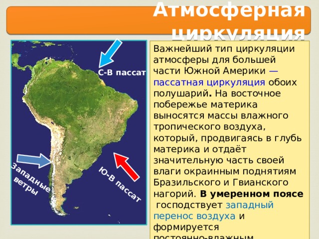 Пассат норд америка