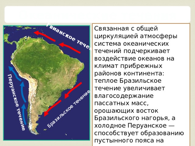 Перуанское течение океан. Тёплые течения: Гвианское, бразильское.. Гвианское бразильское течение. Бразильское теплое течение. Гвианское течение на карте.