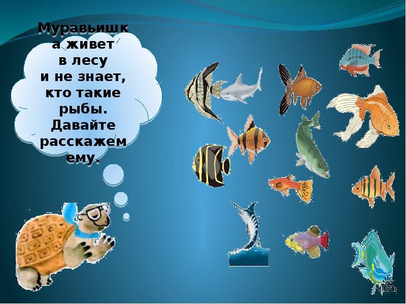 Кто такие рыбы 1. Рыбы презентация 1 класс. Рыбы начальная школа. Кто такие рыбы 1 класс окружающий мир. Рыбы слайд для презентации.