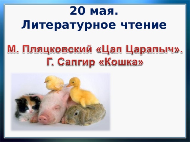 20 мая. Литературное чтение   