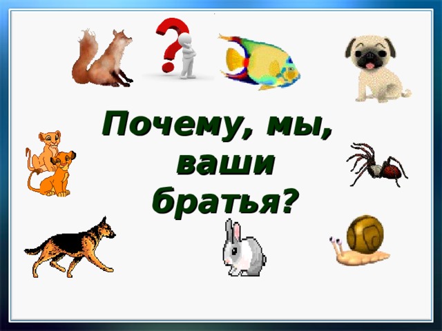Почему, мы, ваши братья? 