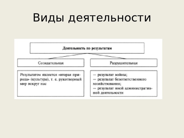 Виды деятельности 
