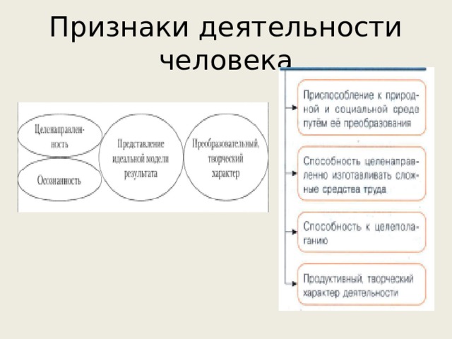 Признаки деятельности человека 
