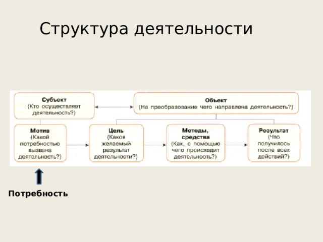 Структура деятельности Потребность 