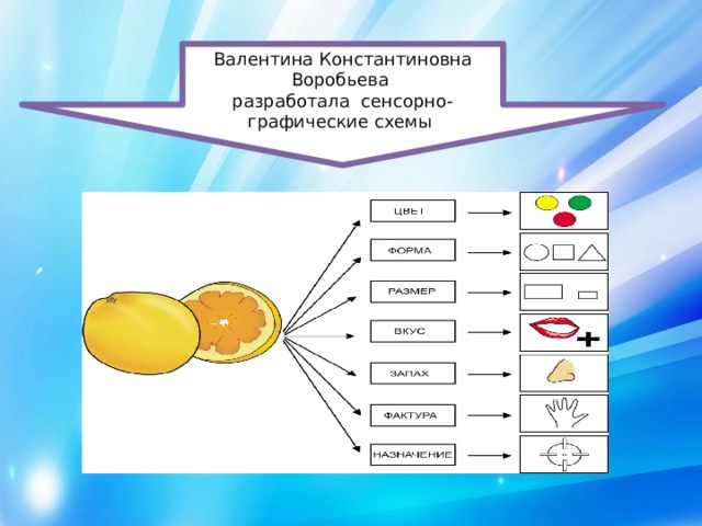 Сенсорно графические схемы воробьевой