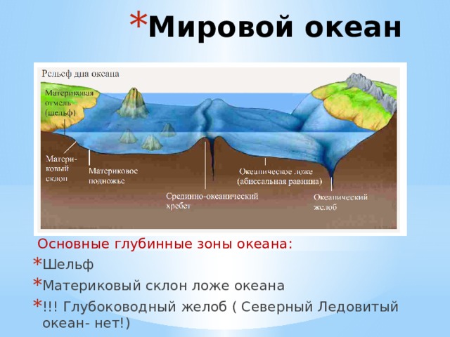 Какой цифрой на рисунке обозначен континентальный склон