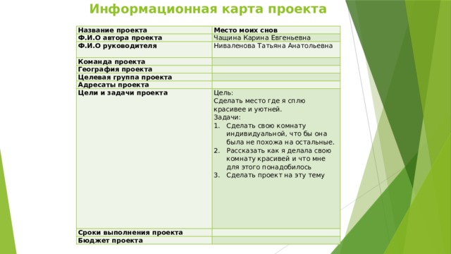 Информационная карта проекта