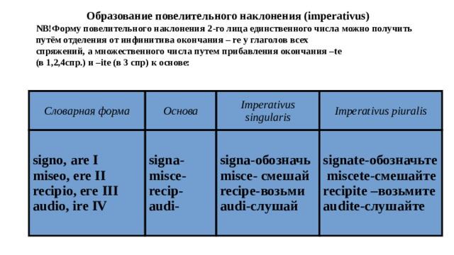 Латынь документ