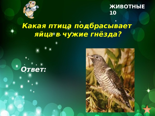 ЖИВОТНЫЕ 10 Какая птица подбрасывает яйца в чужие гнёзда? Ответ: 