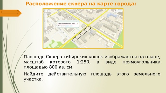 Расположение сквера на карте города: Площадь Сквера сибирских кошек изображается на плане, масштаб которого 1:250, в виде прямоугольника площадью 800 кв. см. Найдите действительную площадь этого земельного участка. 