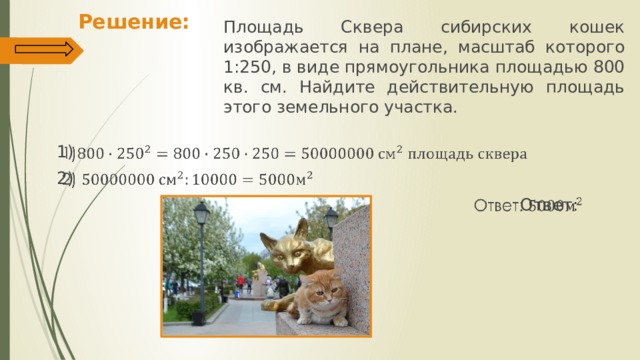 Решение: Площадь Сквера сибирских кошек изображается на плане, масштаб которого 1:250, в виде прямоугольника площадью 800 кв. см. Найдите действительную площадь этого земельного участка. 1)   2) Ответ: 