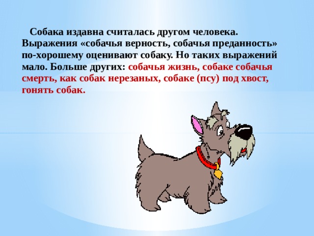 Dogs текст