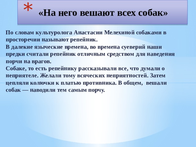  «На него вешают всех собак» По словам культуролога Анастасии Мелехиной собаками в просторечии называют репейник.  В далекие языческие времена, во времена суеверий наши предки считали репейник отличным средством для наведения порчи на врагов.  Собаке, то есть репейнику рассказывали все, что думали о неприятеле. Желали тому всяческих неприятностей. Затем цепляли колючки к платью противника. В общем,  вешали собак — наводили тем самым порчу.  