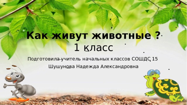 Как живут животные ?  1 класс Подготовила учитель начальных классов СОШДС 15 Шушунова Надежда Александровна 