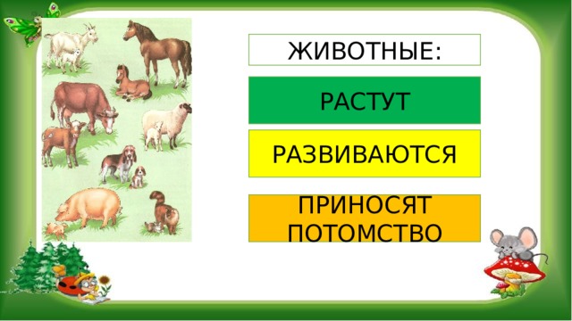 ЖИВОТНЫЕ: РАСТУТ РАЗВИВАЮТСЯ ПРИНОСЯТ ПОТОМСТВО 