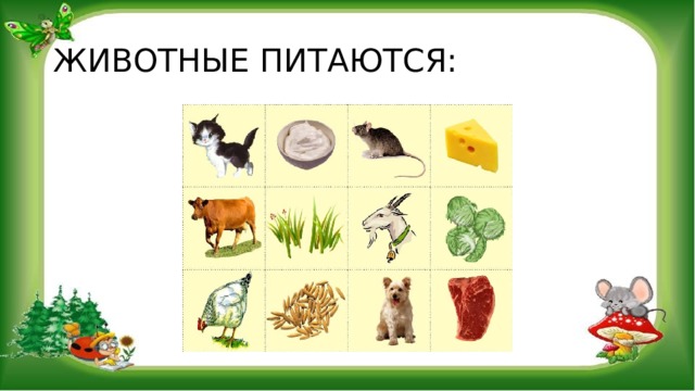 ЖИВОТНЫЕ ПИТАЮТСЯ: 