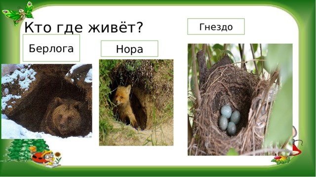 Кто где живёт? Гнездо Берлога Нора 