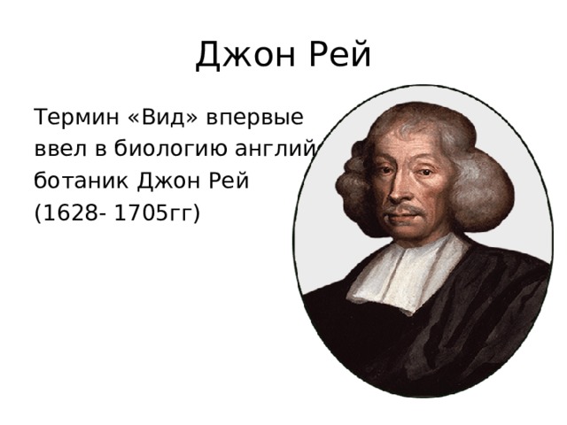 Джон Рей Термин «Вид» впервые ввел в биологию английский ботаник Джон Рей (1628- 1705гг) 