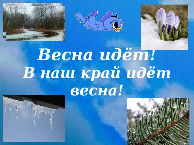      Весна идёт!  В наш край идёт весна! 
