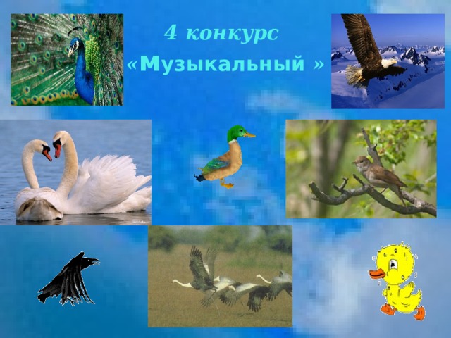 4 конкурс  « м узыкальный » 