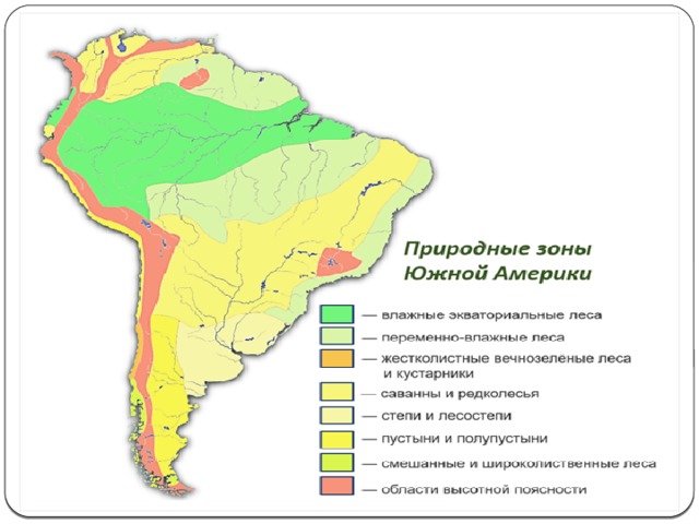 Таблица природные зоны южной америки 7 класс