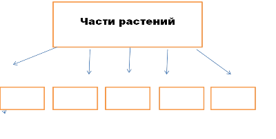 Знаешь части. Кластер части растений. Строение растения кластер. Кластер части растений развернутая. Части растений кластер 9 класс.