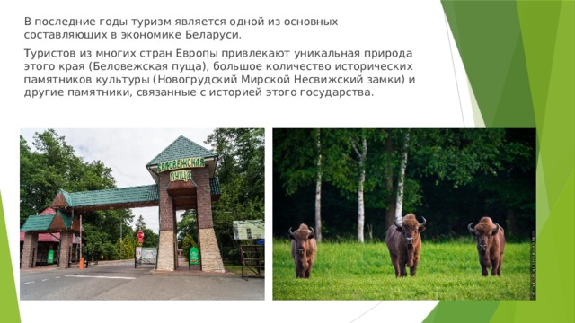В последние годы туризм является одной из основных составляющих в экономике Беларуси. Туристов из многих стран Европы привлекают уникальная природа этого края (Беловежская пуща), большое количество исторических памятников культуры (Новогрудский Мирской Несвижский замки) и другие памятники, связанные с историей этого государства. 