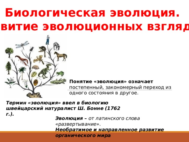 Принципы биологической эволюции. Биологическая Эволюция. Понятие биологической эволюции. Эволюция терминологии. Определение понятий «Эволюция» и «биологическая Эволюция»..