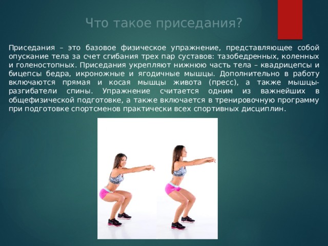 Что такое приседания? Приседания – это базовое физическое упражнение, представляющее собой опускание тела за счет сгибания трех пар суставов: тазобедренных, коленных и голеностопных. Приседания укрепляют нижнюю часть тела – квадрицепсы и бицепсы бедра, икроножные и ягодичные мышцы. Дополнительно в работу включаются прямая и косая мышцы живота (пресс), а также мышцы-разгибатели спины. Упражнение считается одним из важнейших в общефизической подготовке, а также включается в тренировочную программу при подготовке спортсменов практически всех спортивных дисциплин. 