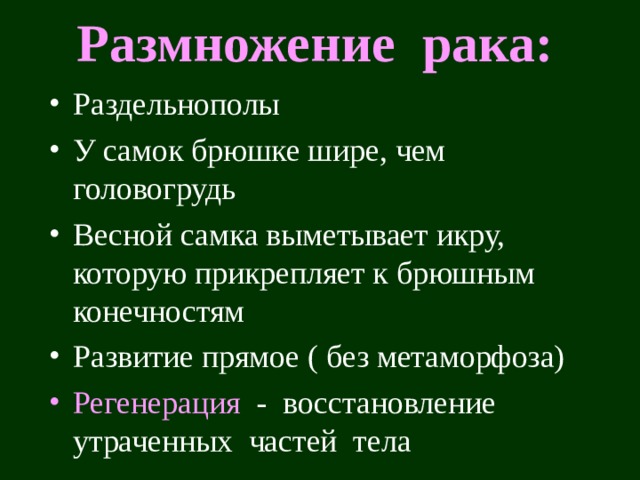 Размножение рака: Раздельнополы У самок брюшке шире, чем головогрудь Весной самка выметывает икру, которую прикрепляет к брюшным конечностям Развитие прямое ( без метаморфоза) Регенерация - восстановление утраченных частей тела 