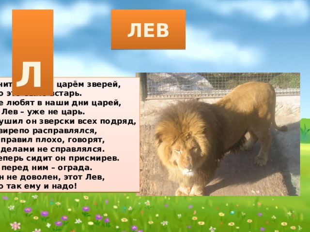 Проект лев царь зверей