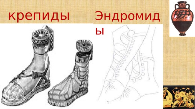 крепиды Эндромиды 