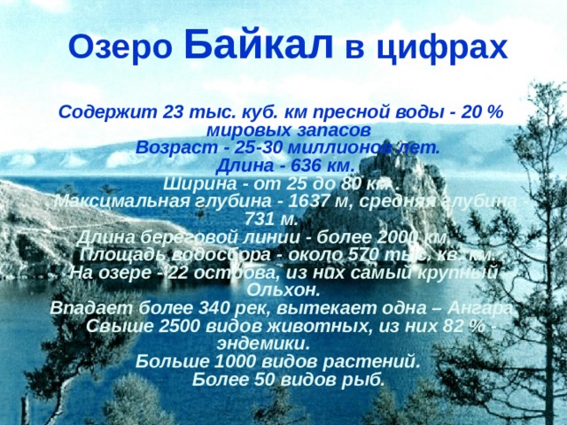 Озеро Байкал в цифрах Содержит 23 тыс. куб. км пресной воды - 20 % мировых запасов   Возраст - 25-30 миллионов лет.   Длина - 636 км.    Ширина - от 25 до 80 км .   Максимальная глубина - 1637 м, средняя глубина - 731 м.    Длина береговой линии - более 2000 км.    Площадь водосбора - около 570 тыс. кв. км.   На озере - 22 острова, из них самый крупный – Ольхон.   Впадает более 340 рек, вытекает одна – Ангара.    Свыше 2500 видов животных, из них 82 % - эндемики.    Больше 1000 видов растений.   Более 50 видов рыб. 