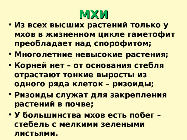 МХИ Из всех высших растений только у мхов в жизненном цикле гаметофит преобладает над спорофитом; Многолетние невысокие растения; Корней нет – от основания стебля отрастают тонкие выросты из одного ряда клеток – ризоиды; Ризоиды служат для закрепления растений в почве; У большинства мхов есть побег – стебель с мелкими зелеными листьями. 