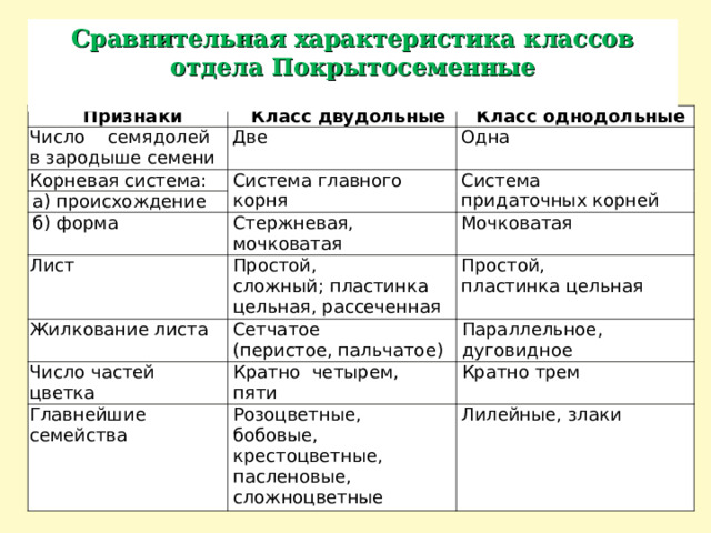 Сравнительная характеристика классов отдела Покрытосеменные  Признаки Класс двудольные Число семядолей в зародыше семени Класс однодольные Две Корневая система: Одна Система главного корня а) происхождение Система придаточных корней б) форма Лист Стержневая, мочковатая Мочковатая Жилкование листа Простой, сложный; пластинка цельная, рассеченная Простой, пластинка цельная Сетчатое (перистое, пальчатое) Число частей цветка Параллельное, дуговидное Кратно четырем, пяти Главнейшие семейства Кратно трем Розоцветные, бобовые, крестоцветные, пасленовые, сложноцветные Лилейные, злаки 