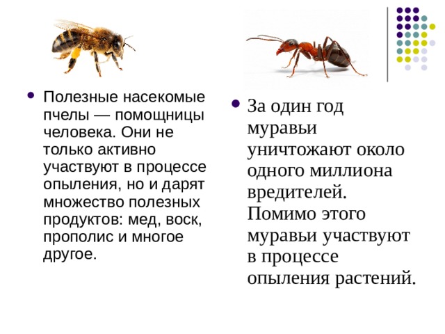 Какие насекомые приносят вред природе