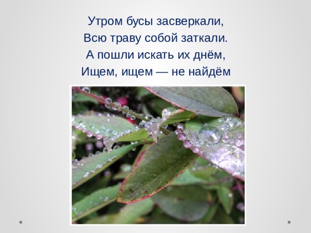 Утром бусы засверкали, Всю траву собой заткали. А пошли искать их днём, Ищем, ищем — не найдём  