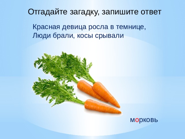 Отгадайте загадку, запишите ответ Красная девица росла в темнице, Люди брали, косы срывали м о рковь 