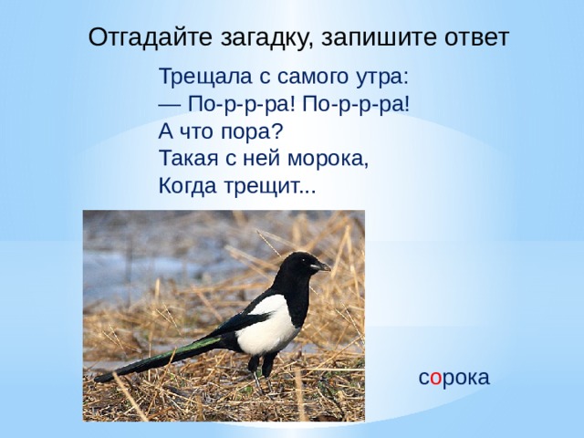 Отгадайте загадку, запишите ответ Трещала с самого утра: — По-р-р-ра! По-р-р-ра! А что пора? Такая с ней морока, Когда трещит... с о рока 