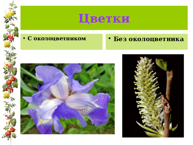 Цветки С околоцветником Без околоцветника 