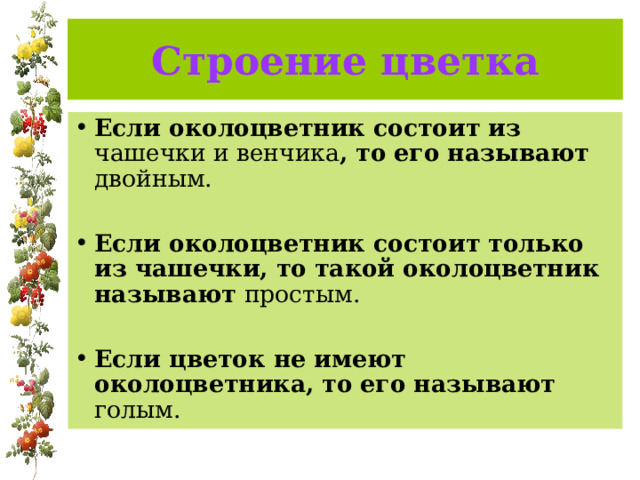 Строение цветка Если околоцветник состоит из чашечки и венчика , то его называют двойным.   Если околоцветник состоит только из чашечки, то такой околоцветник называют простым.   Если цветок не имеют околоцветника, то его называют голым. 