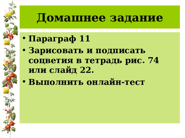 Домашнее задание Параграф 11 Зарисовать и подписать соцветия в тетрадь рис. 74 или слайд 22. Выполнить онлайн-тест 