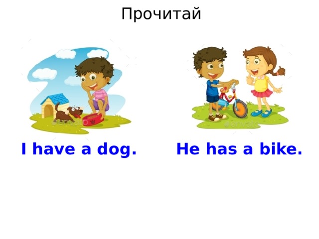 Прочитай I have a dog. He has a bike. 