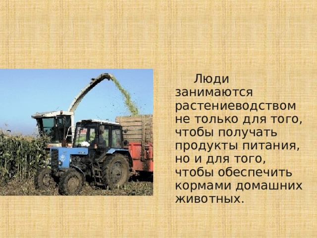  Люди занимаются растениеводством не только для того, чтобы получать продукты питания, но и для того, чтобы обеспечить кормами домашних животных. 