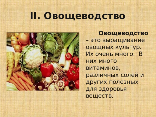 II . Овощеводство  Овощеводство – это выращивание овощных культур. Их очень много. В них много витаминов, различных солей и других полезных для здоровья веществ. 