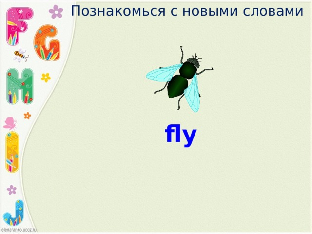 Познакомься с новыми словами fly 
