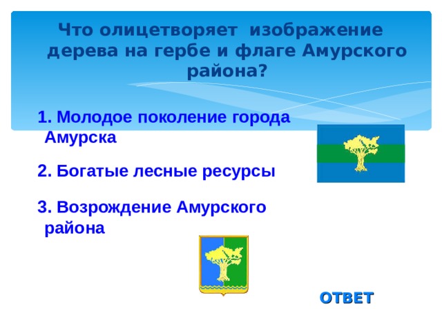 Амурский округ. Герб Амурского района. Герб Амурского района Хабаровского края. Флаг Амурского района. Герб Амурска.