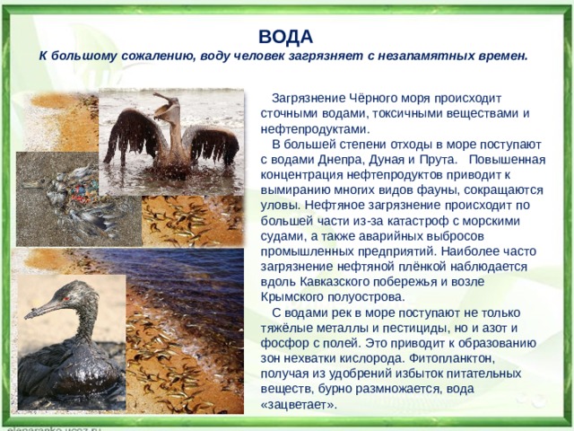 ВОДА К большому сожалению, воду человек загрязняет с незапамятных времен.    Загрязнение Чёрного моря происходит сточными водами, токсичными веществами и нефтепродуктами.  В большей степени отходы в море поступают с водами Днепра, Дуная и Прута. Повышенная концентрация нефтепродуктов приводит к вымиранию многих видов фауны, сокращаются уловы. Нефтяное загрязнение происходит по большей части из-за катастроф с морскими судами, а также аварийных выбросов промышленных предприятий. Наиболее часто загрязнение нефтяной плёнкой наблюдается вдоль Кавказского побережья и возле Крымского полуострова.  С водами рек в море поступают не только тяжёлые металлы и пестициды, но и азот и фосфор с полей. Это приводит к образованию зон нехватки кислорода. Фитопланктон, получая из удобрений избыток питательных веществ, бурно размножается, вода «зацветает».    