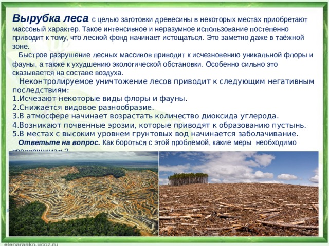 Вырубка леса с целью заготовки древесины в некоторых местах приобретают массовый характер. Такое интенсивное и неразумное использование постепенно приводит к тому, что лесной фонд начинает истощаться. Это заметно даже в таёжной зоне.  Быстрое разрушение лесных массивов приводит к исчезновению уникальной флоры и фауны, а также к ухудшению экологической обстановки. Особенно сильно это сказывается на составе воздуха.  Неконтролируемое уничтожение лесов приводит к следующим негативным последствиям: Исчезают некоторые виды флоры и фауны. Снижается видовое разнообразие. В атмосфере начинает возрастать количество диоксида углерода. Возникают почвенные эрозии, которые приводят к образованию пустынь. В местах с высоким уровнем грунтовых вод начинается заболачивание.  Ответьте на вопрос. Как бороться с этой проблемой, какие меры необходимо предпринимать? 